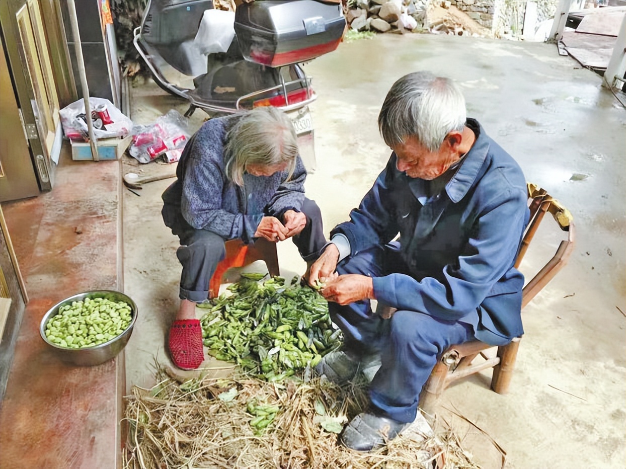 永嘉：“我家有对‘神仙眷侣’，外婆102岁，外公93岁”