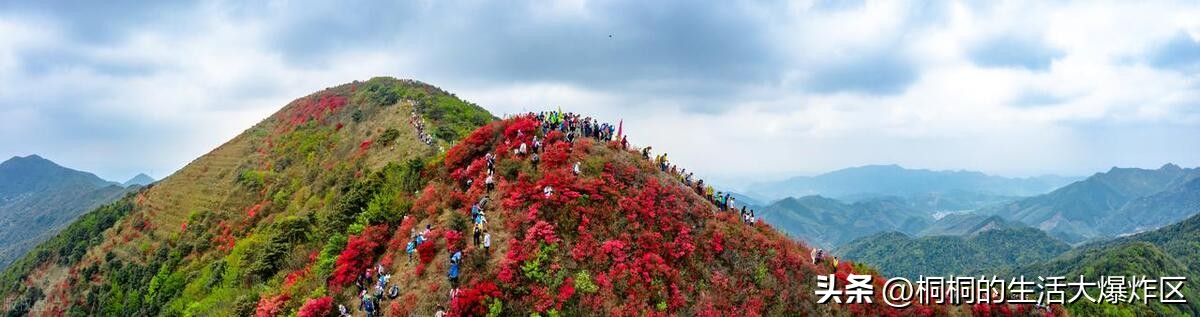 广州适合搭帐篷露营的地方 (广州户外免费露营地推荐)