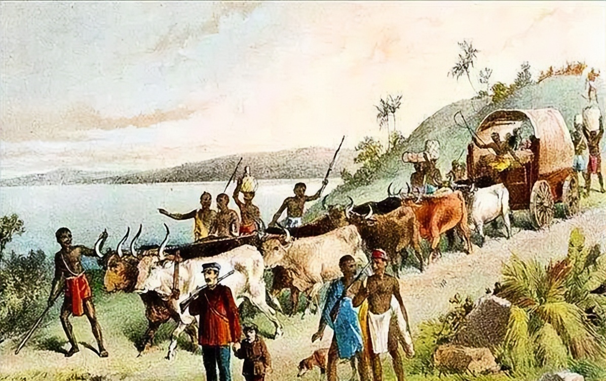 南非的历史变革,南非土地改革政策