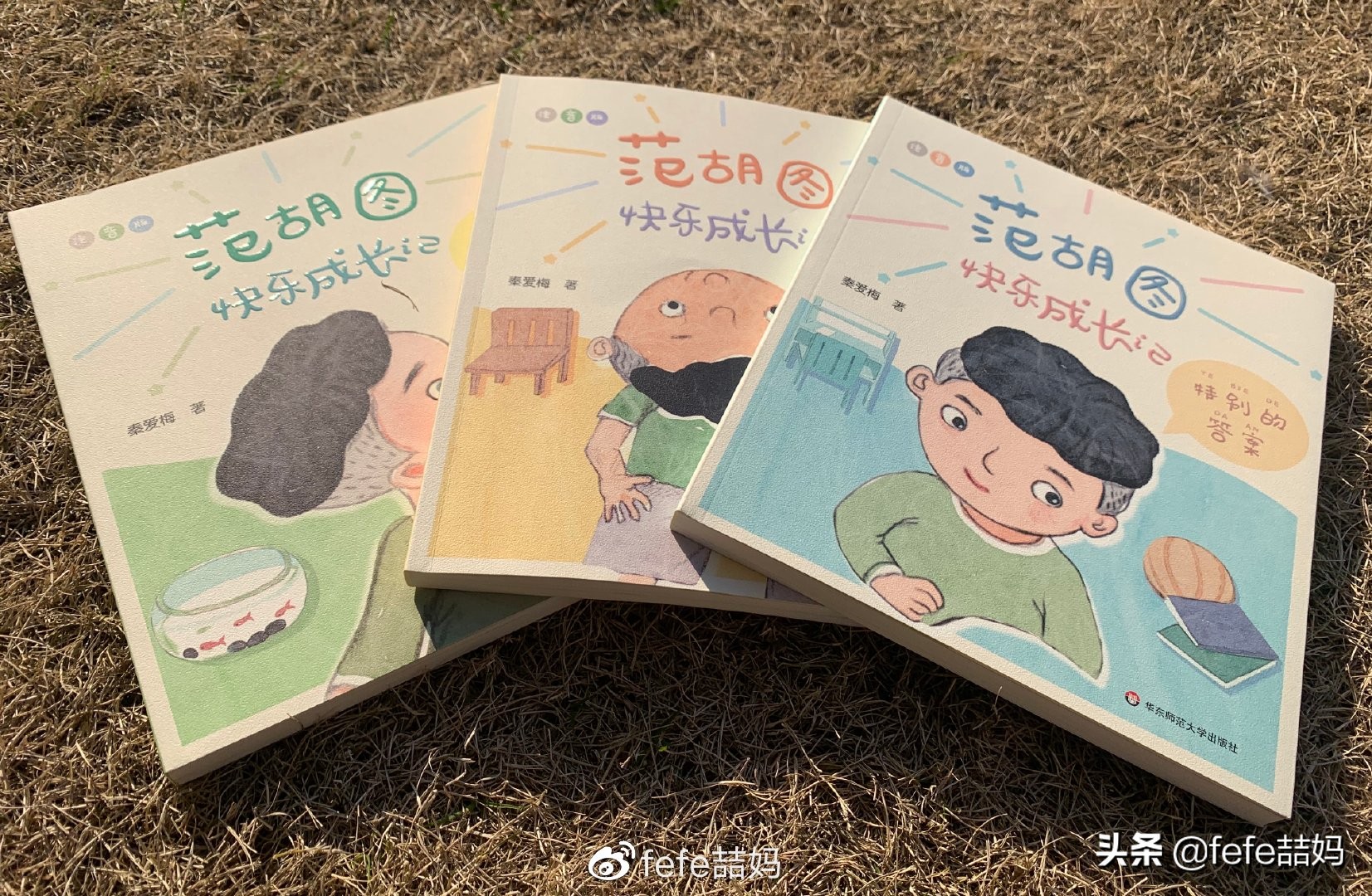 关于小动物的书推荐,好书推荐动物书单