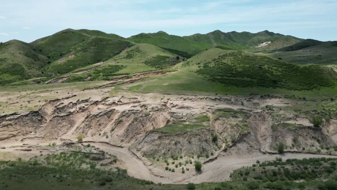 种下“碧根”拔掉“穷根”