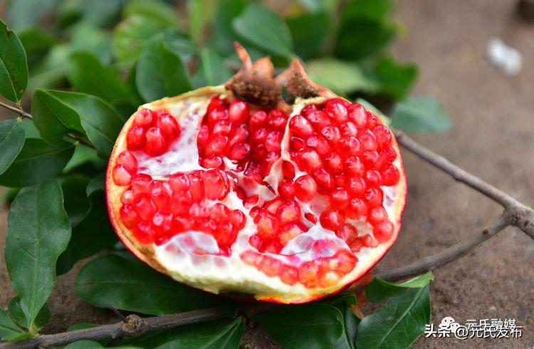 元氏蟠龙湖花灯节直播,元氏蟠龙湖元宵灯会
