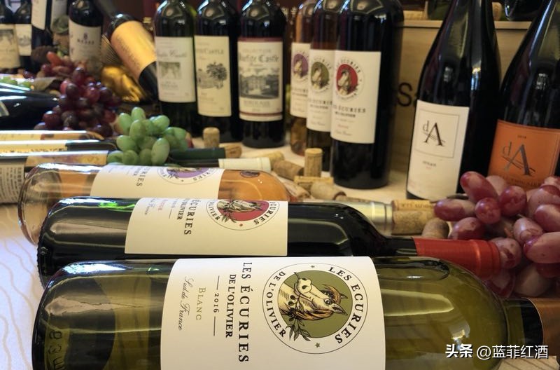 上海红酒进口批发代理,进口红酒代理加盟