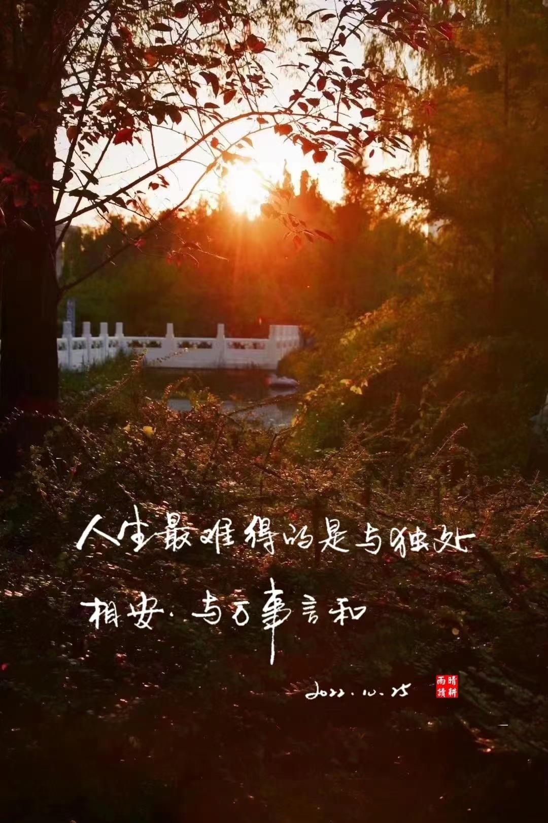 哪有不顾一切的信任,哪里有爱哪里就有希望