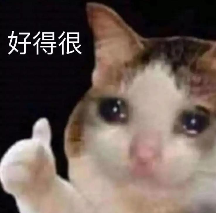 如果你是喵喵教的一员，那这款模拟器你肯定不能错过