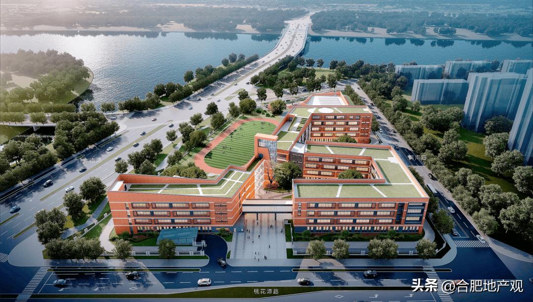 合肥各个区域学区学校排名,合肥五中东校区学区划分