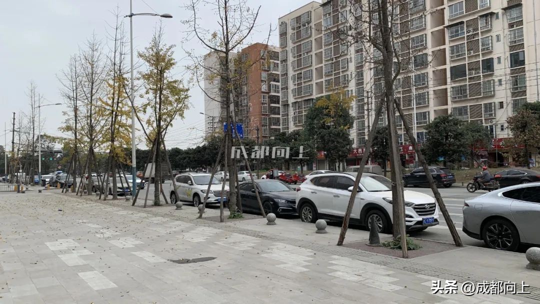 马家寺交通拥堵,双流马家寺现状