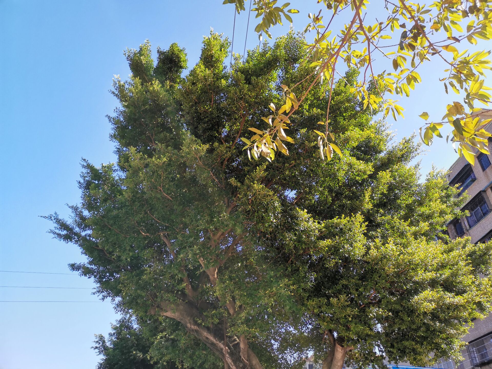 英语单词高频形容词,含dis否定前缀的单词