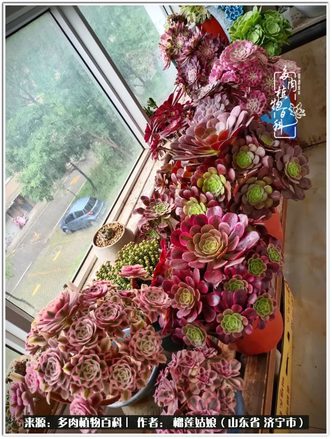 繁花似锦觅安宁淡如流水度一生,繁花似锦觅安宁淡云流水度人生