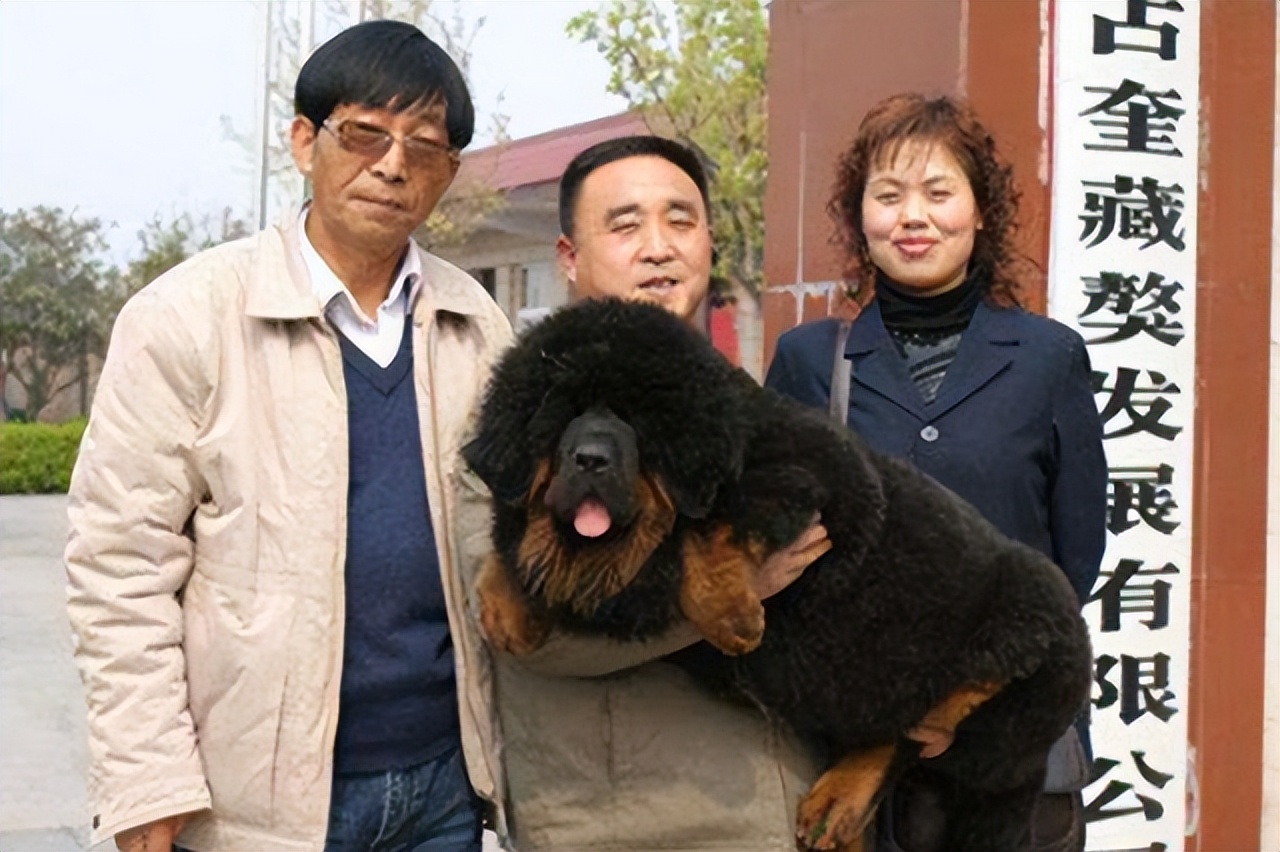 国宝成为全村人的笑话,国宝被骗钱