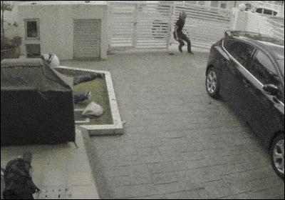 性取向测试是属于心理测试吗,性取向测试