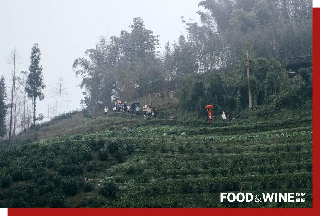 最美村宴第四辑丨四川苔草村·往后就都是好日子了