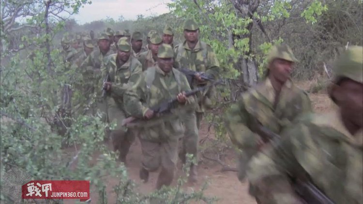 电影野鹅敢死队全集视频,野鹅敢死队故事梗概