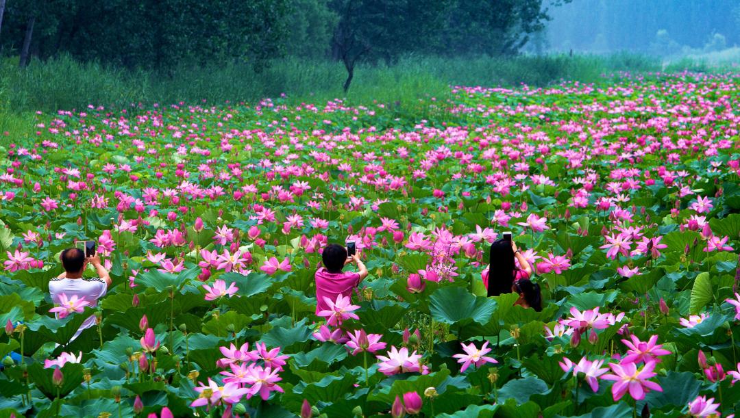 2023县域旅游百强榜各省份排名,2021县域旅游100强排行榜