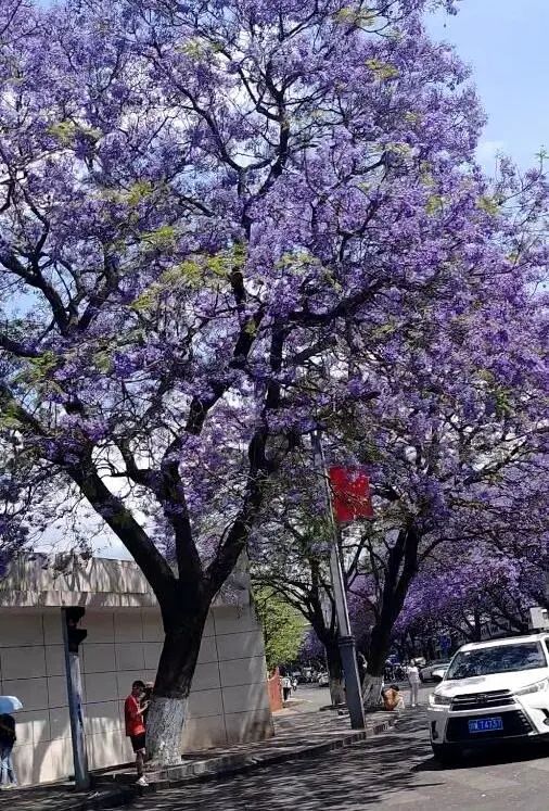 去西昌一定要吃的美食,去西昌推荐吃什么
