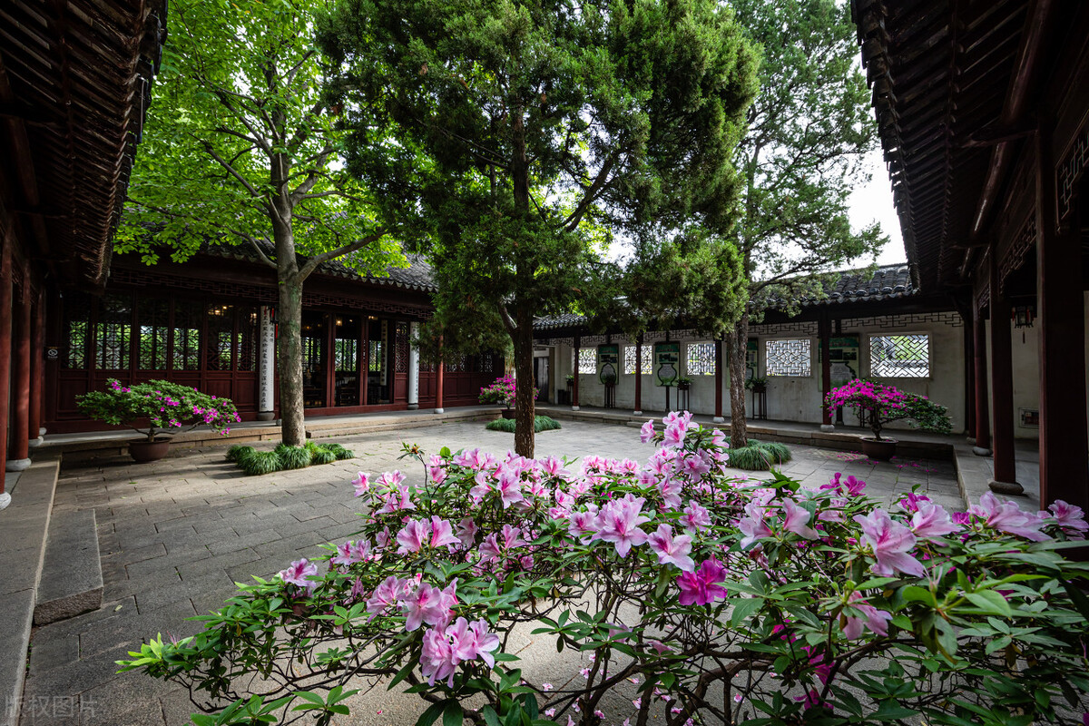 浜戠儫椋庡皹鐭ヤ箮,椋庡皹浜戠儫鍚庣画