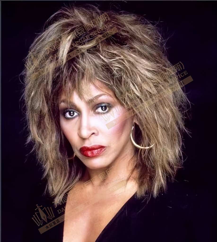 TINATURNER，AnneStokes和Volkswagen大众系列商标版权维权