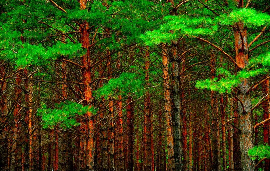怎么选择幼儿园家具,幼儿园家具选购规定表