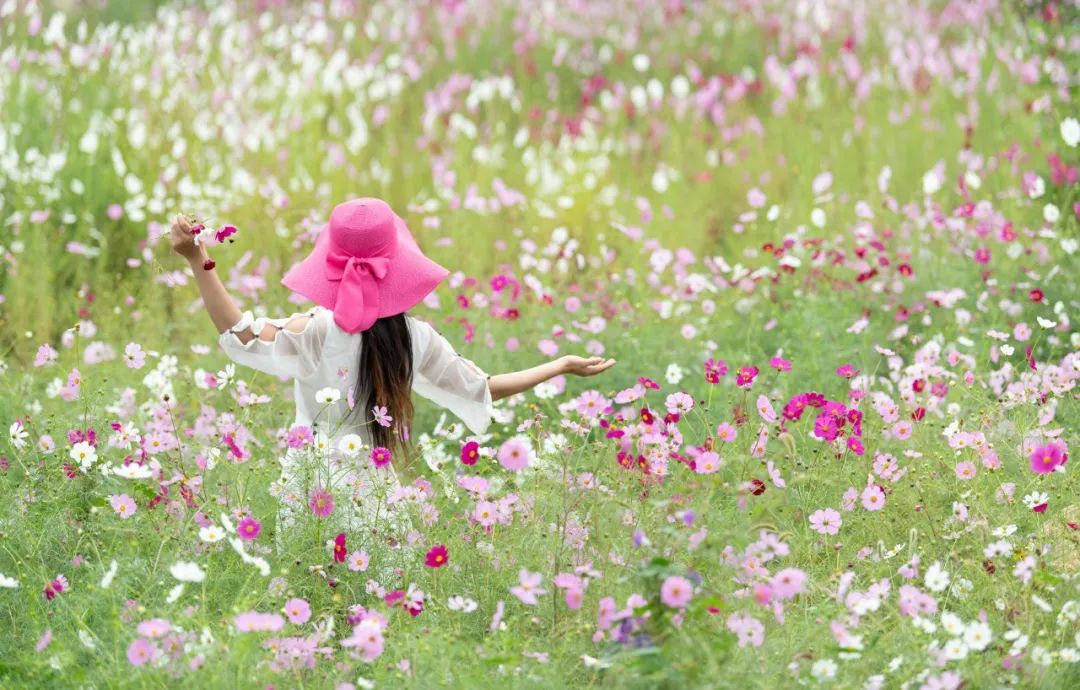 八首最温馨诗词,超级治愈的10首诗词累了就读一读