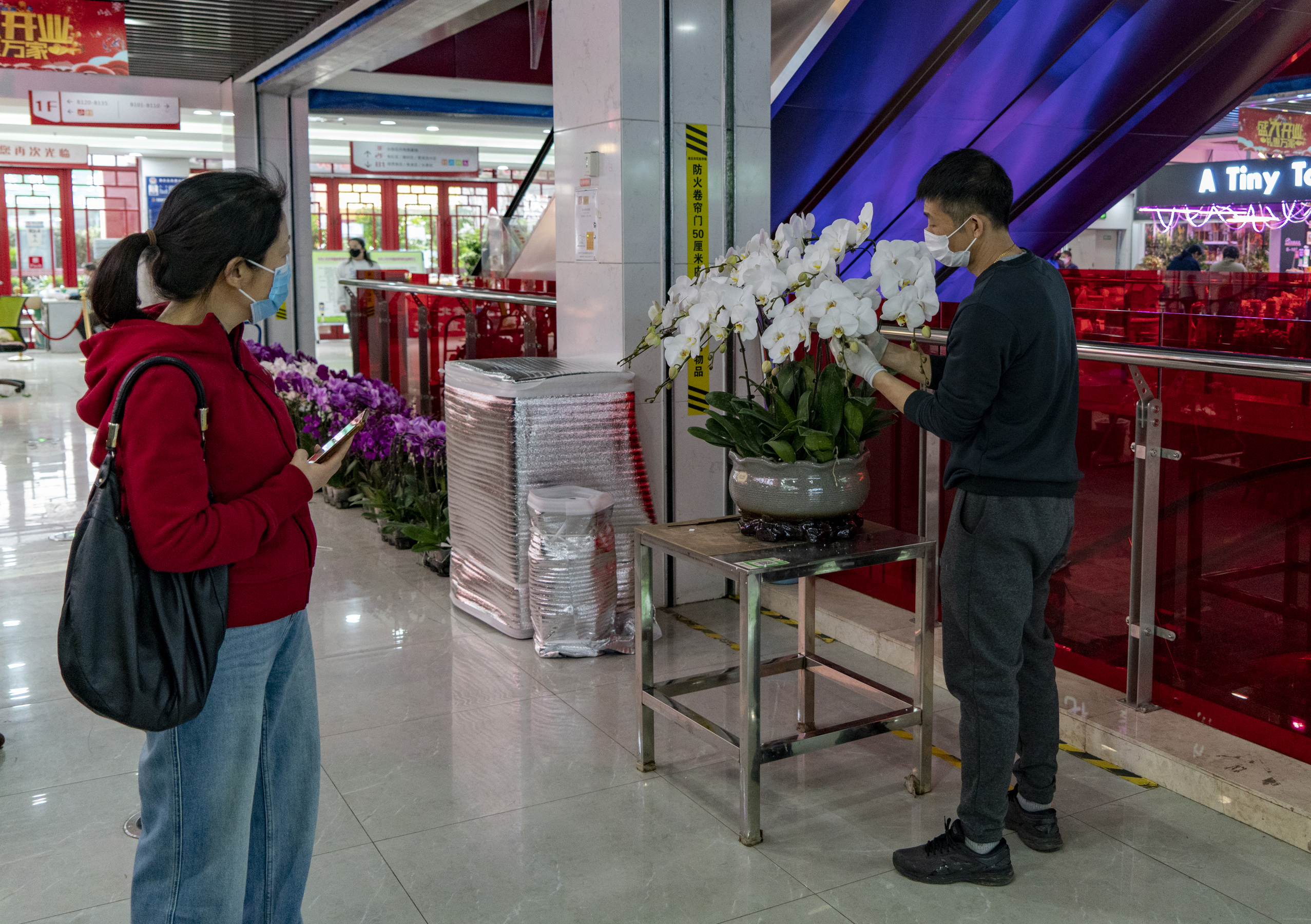 沈阳老北市场花鱼市场开业了吗,沈阳老北市场花鱼