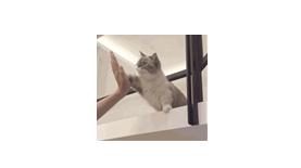 东莞学生网课期间可退学费吗？官方回复了！这些费用可退