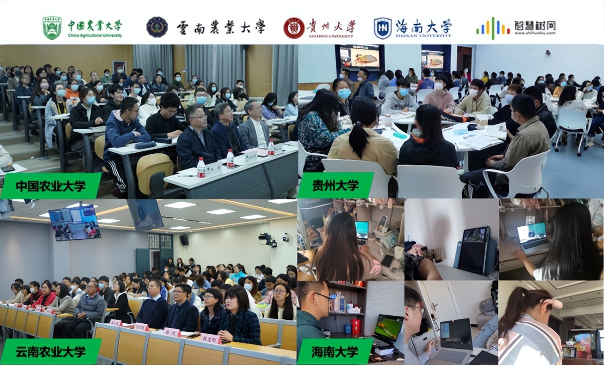 五湖四海同享优质课程云端相连共探昆虫奥妙“四校《普通昆虫学》慕课西行-同步课堂”活动举行