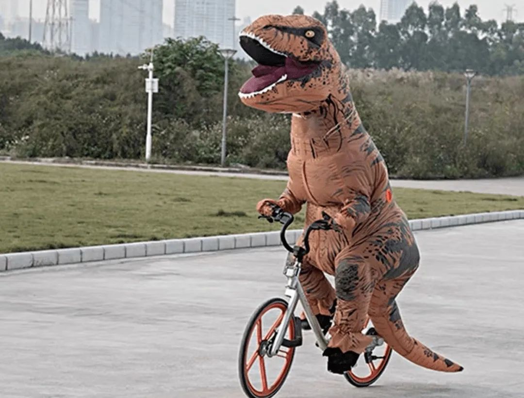 因丑而红,因长相丑而走红