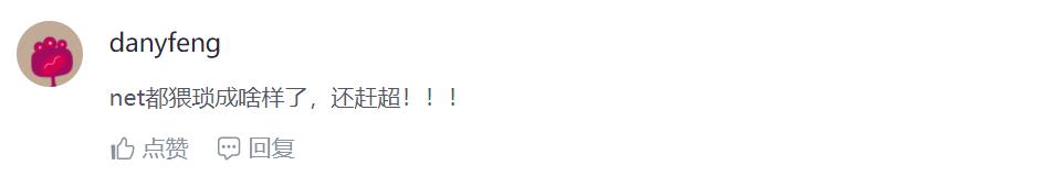 net开发工程师是做什么,从事互联网项目