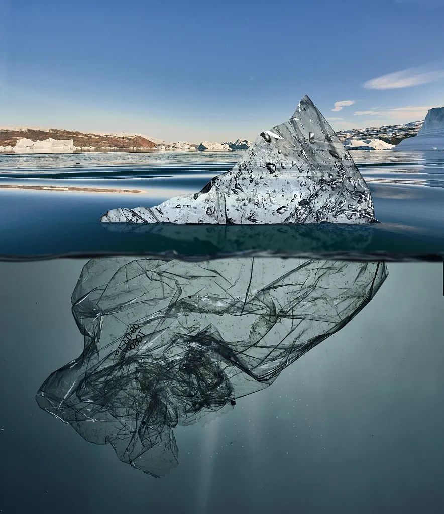 这个“垃圾大国”，真是让我开眼了