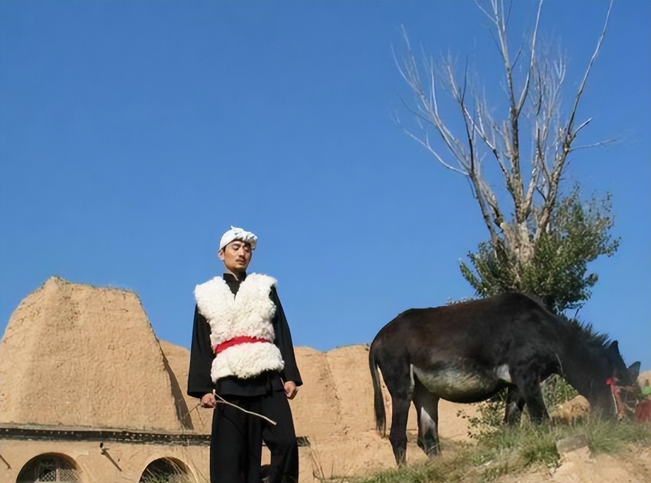 “装疯卖傻”的阿宝活成了笑话,从一夜爆红到销声匿迹阿宝