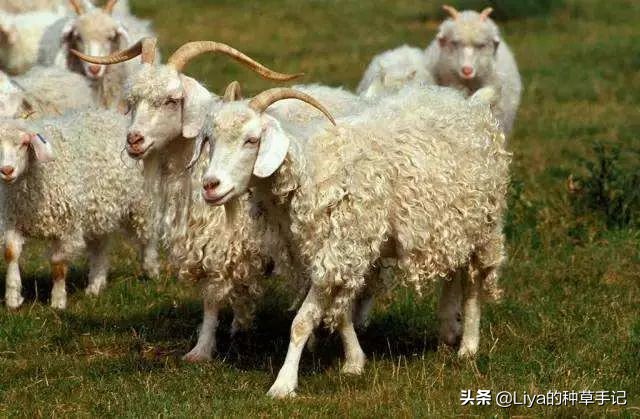 换季穿什么舒适又时髦,冬春换季穿衣搭配