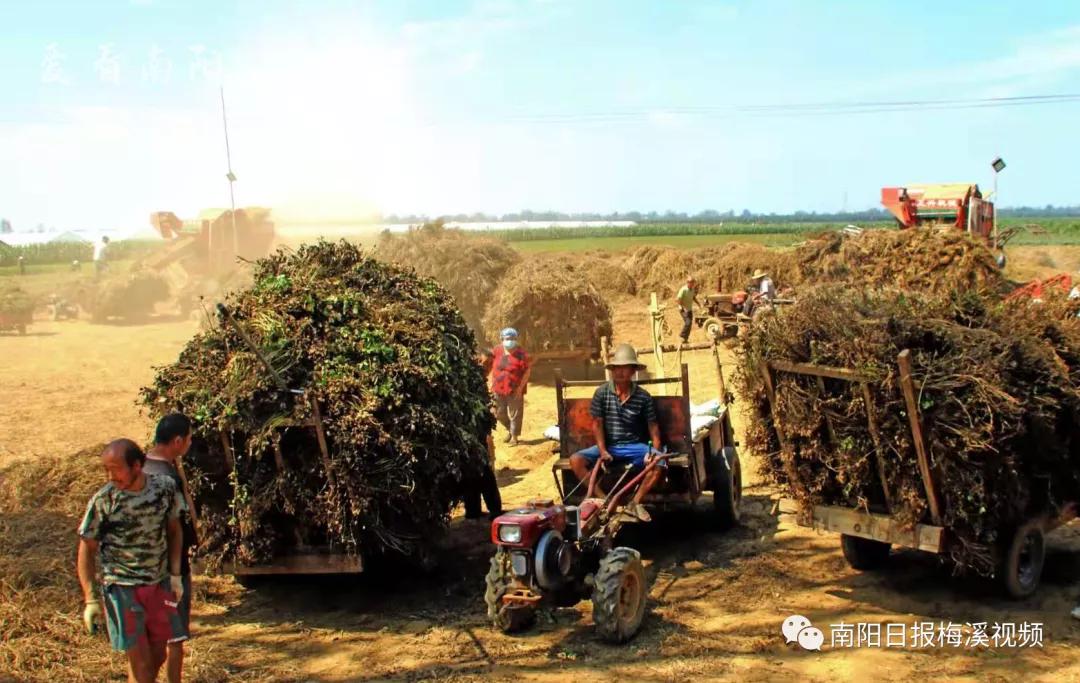 爱看南阳㉟你好2022，再见2021