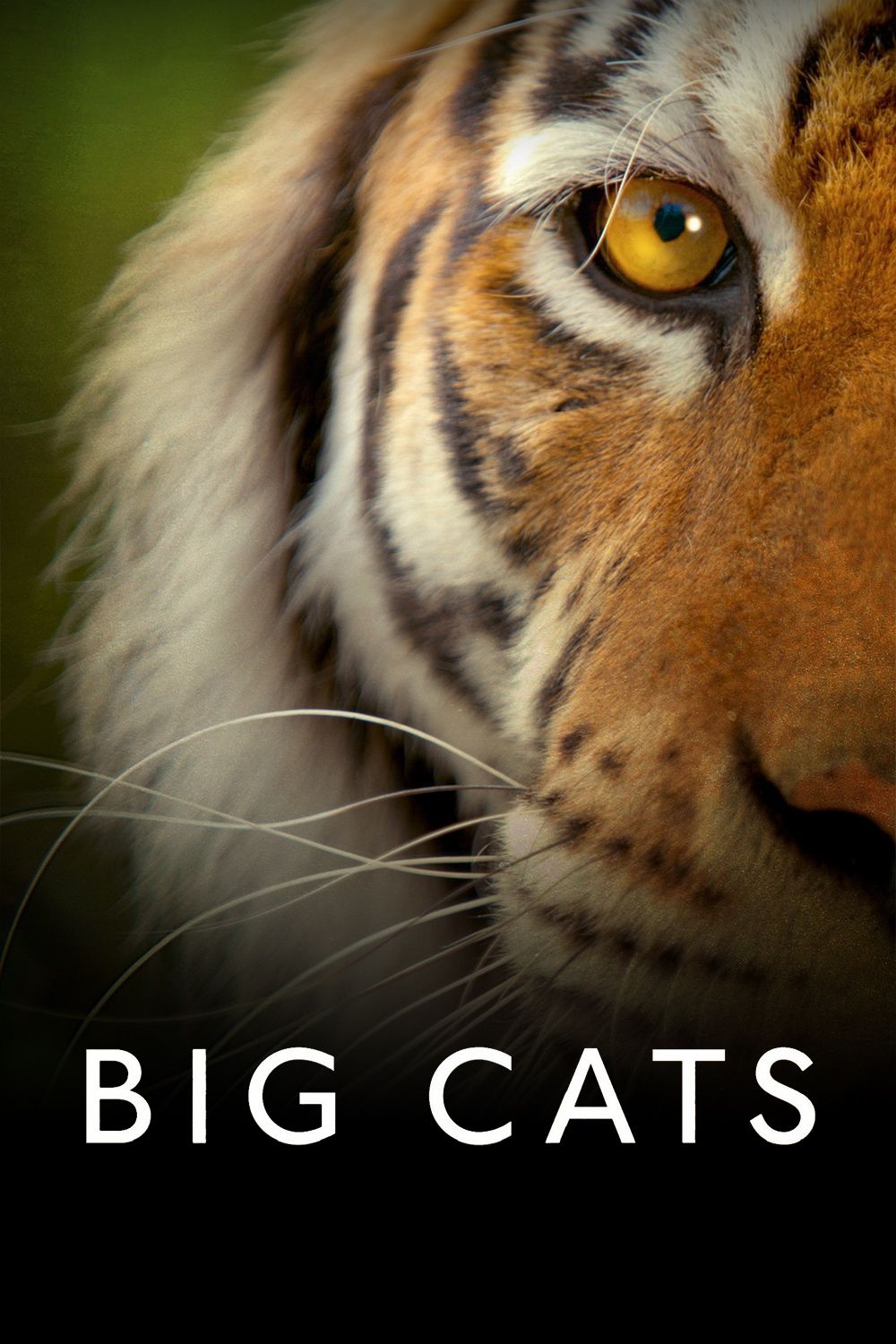 bbc专门讲植物的纪录片,十部顶级纪录片植物