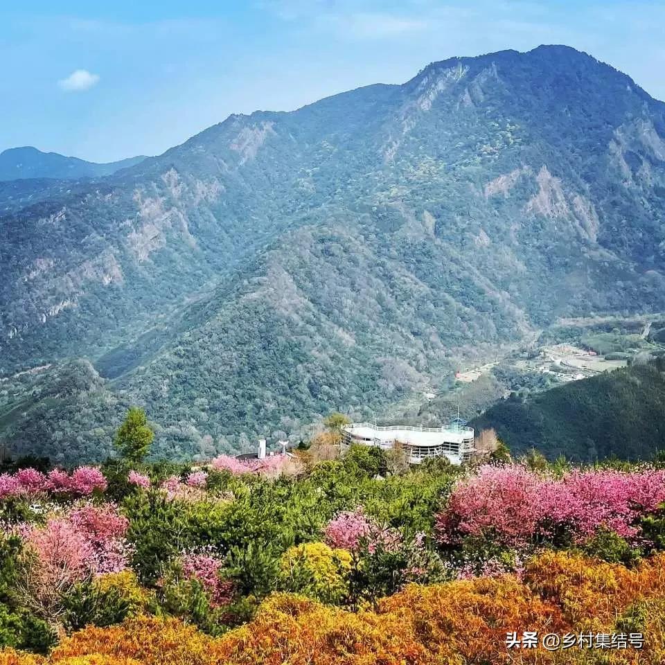 台湾番茄农场,低成本打造高颜值农场