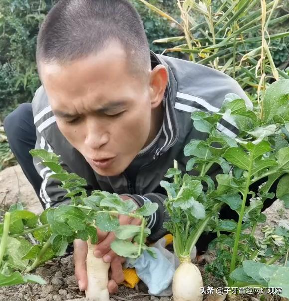 迷茫哥：抽屉里种菜，镜子贴膏药，各种神奇操作笑翻网友