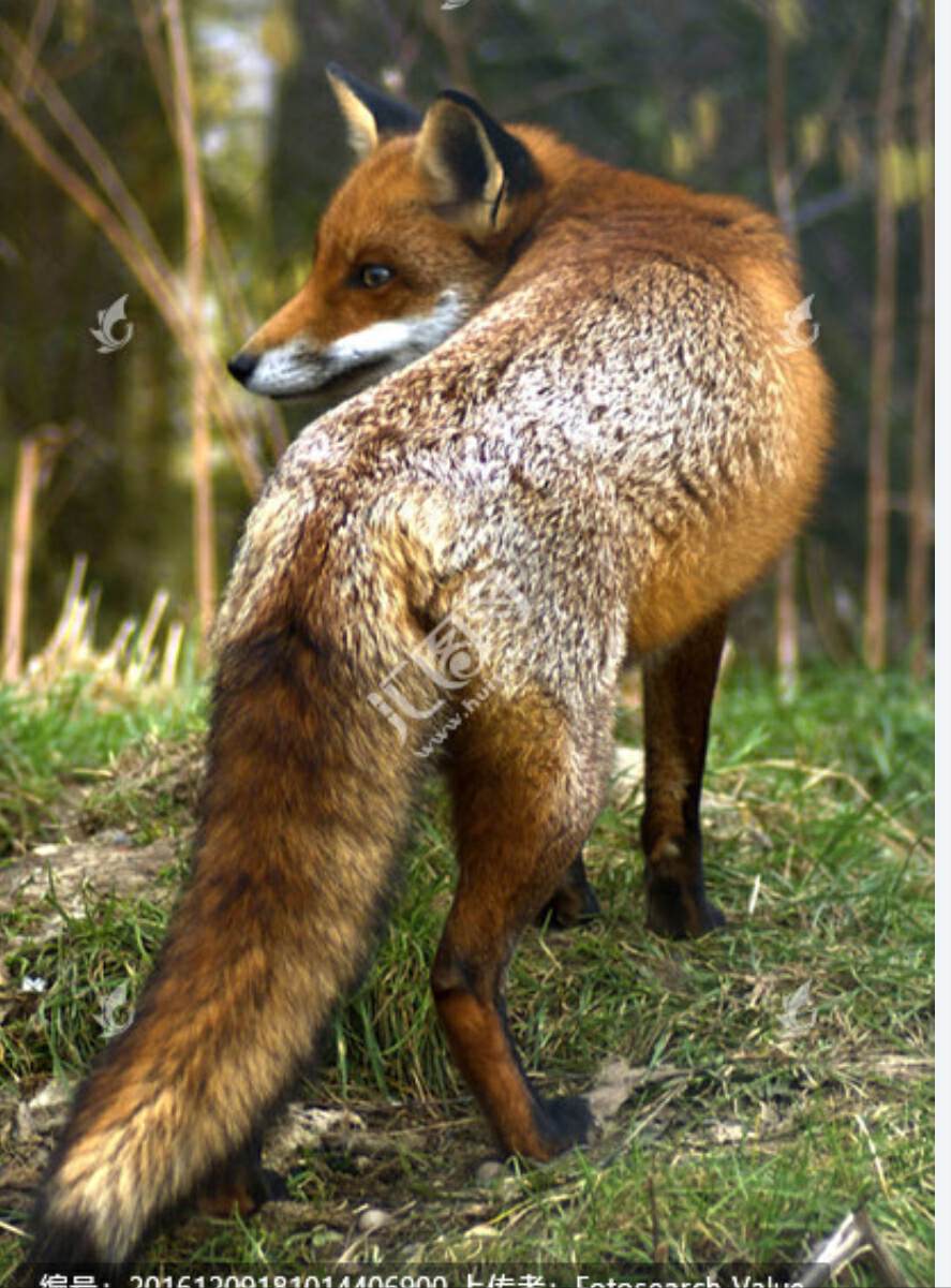 山海经2012白话全译彩图版pdf,山海经海外西经是指哪里