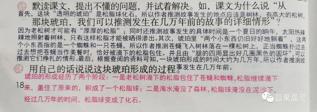 四下语文:第2单元课本内容(复习+练习)