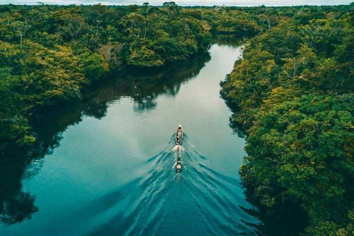 被蛇吞下是什么感觉？科学家身穿盔甲以身试验，心率直接飙升180