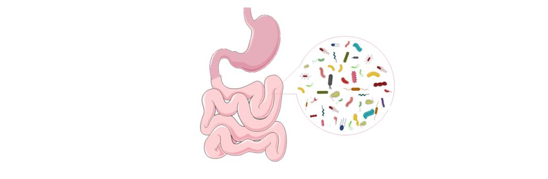 “隐藏高手”胰腺癌的新出路——微生物