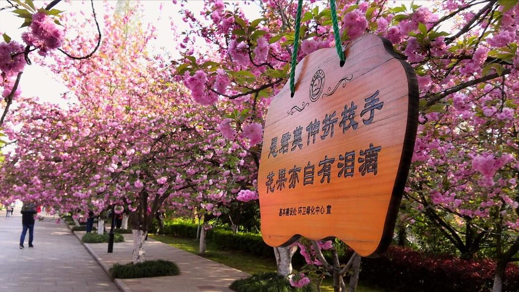 中科大数学系录取名单,中科大数学系就业怎么样