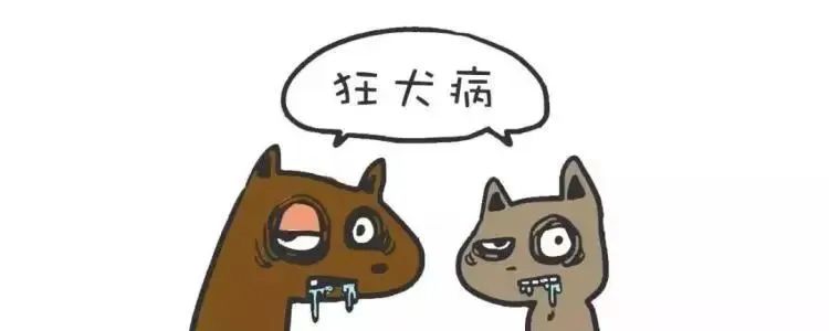 仓鼠咬了过了24小时还能打疫苗吗,被兔子和仓鼠咬伤需要打疫苗吗