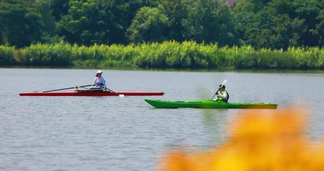 江苏常州旅游世外桃源,来常州天宁区玩的攻略