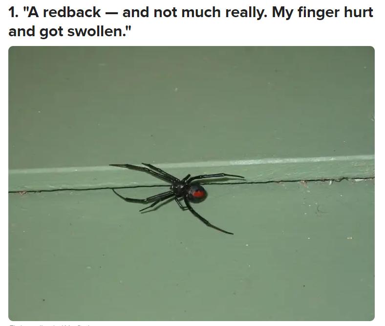 被毒的动物咬了会发生什么,亲身体验被有毒的动物咬