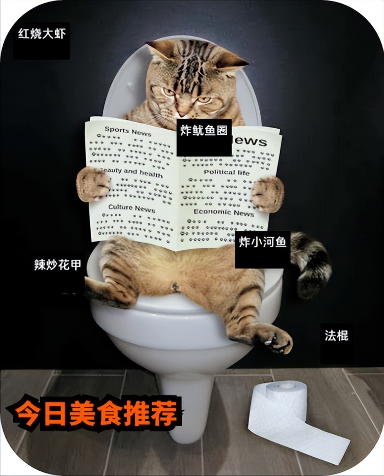 猫传染性腹膜炎后腿无力,传染性腹膜炎猫可以治疗吗