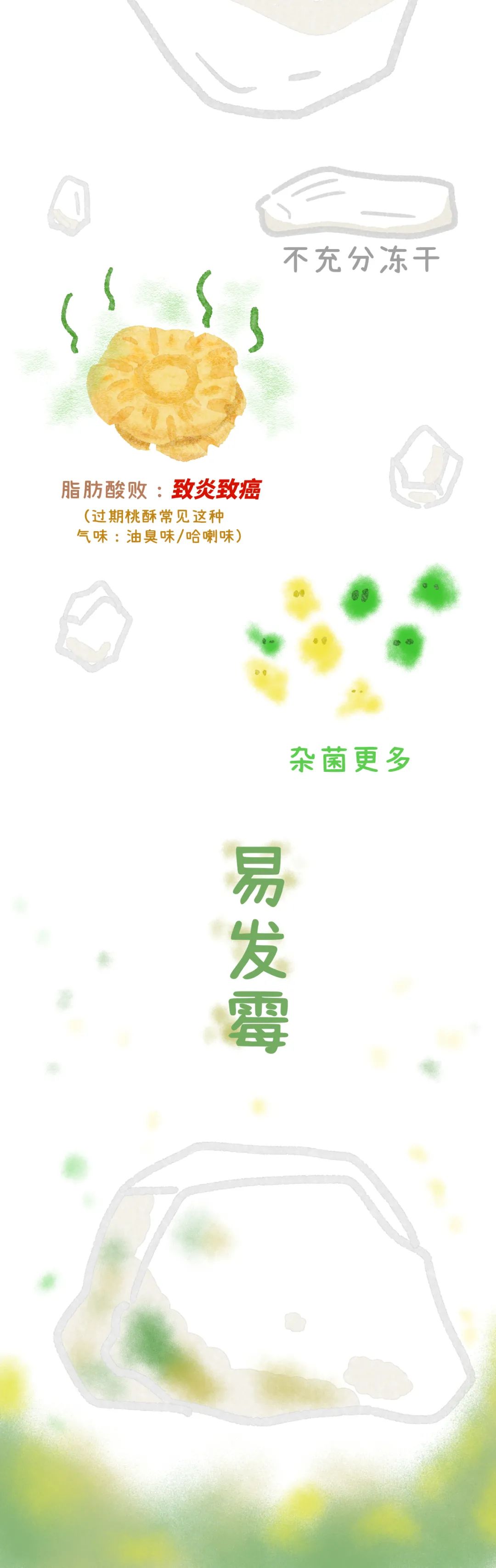 养猫忠告尽量少买华而不实的东西,养猫容易被忽悠买的东西