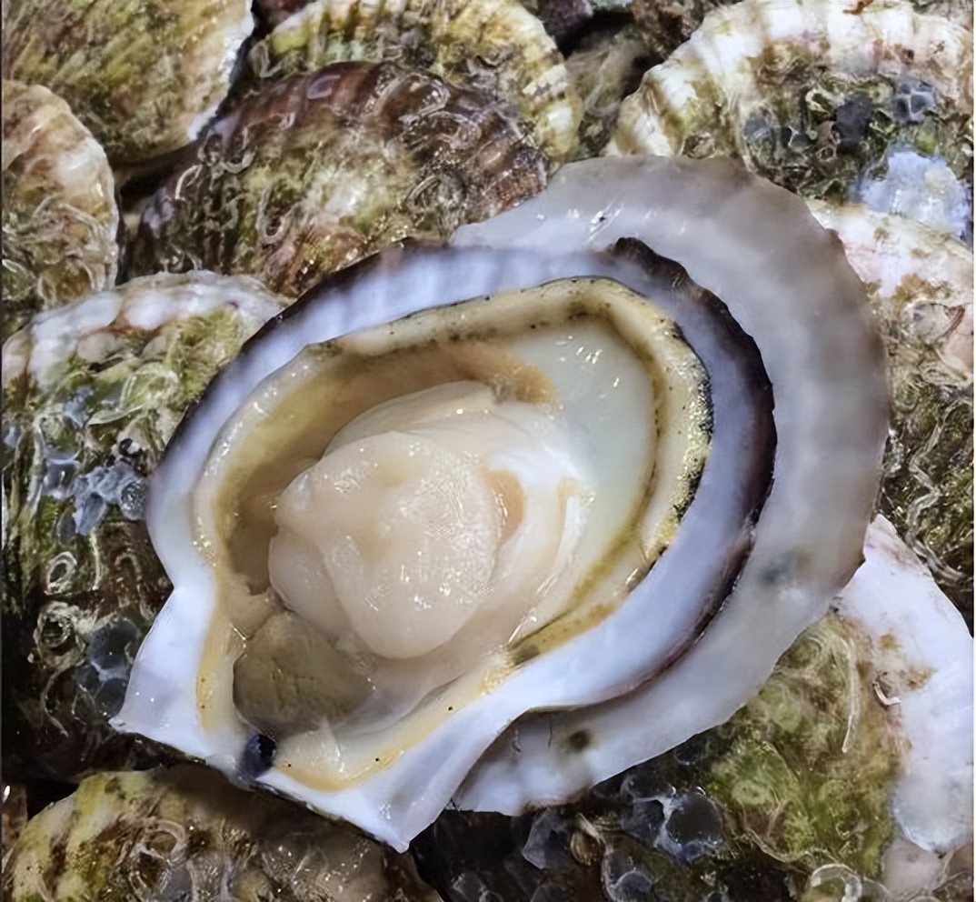 香港海鲜市场生猛海鲜,香港最大水产品市场