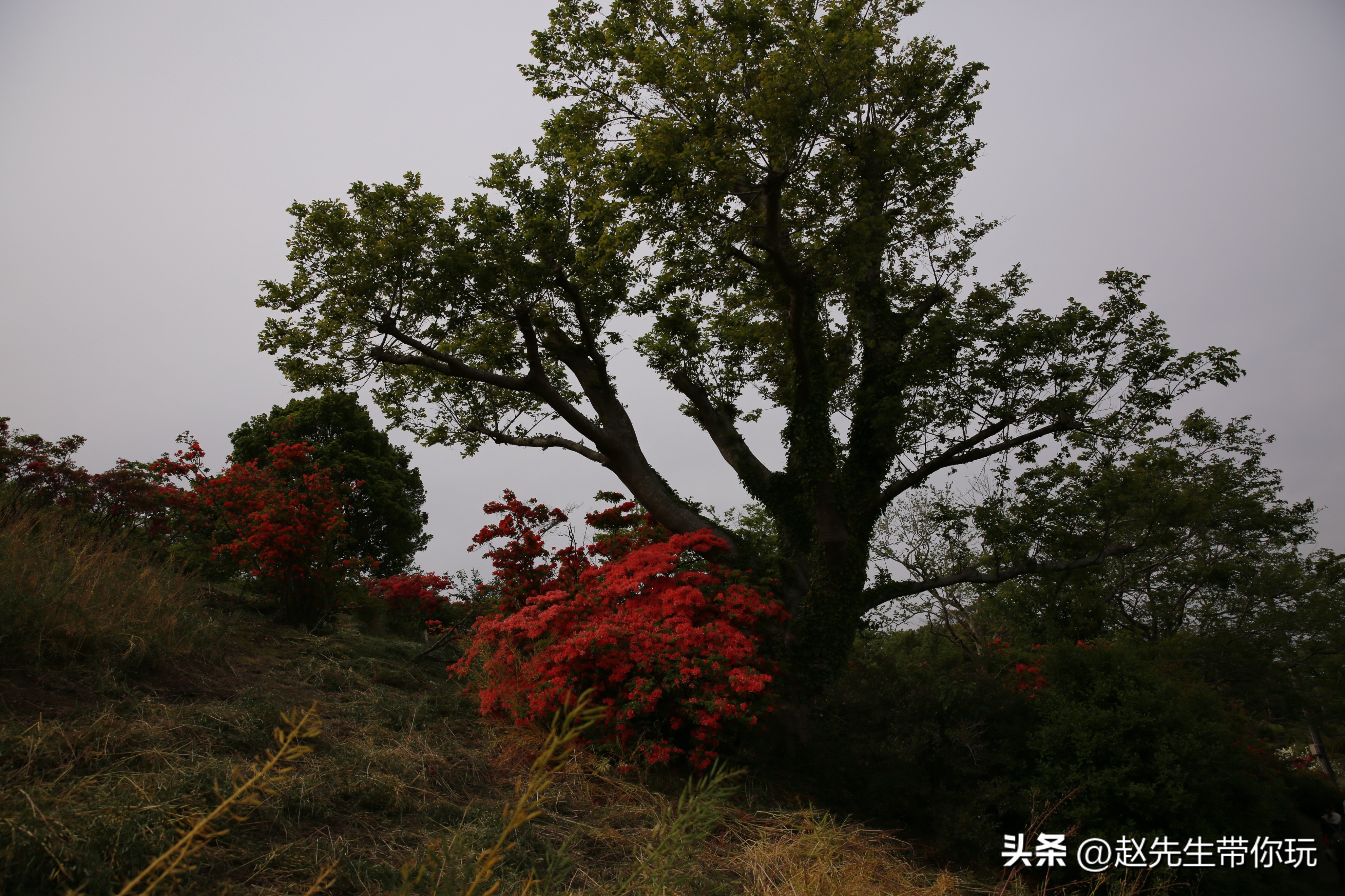 20年旅行总结,二十年游历分享