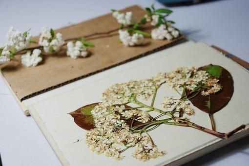 兔宝宝取名字大全男孩杨姓两个字,属兔带木字旁的女孩名谐音好