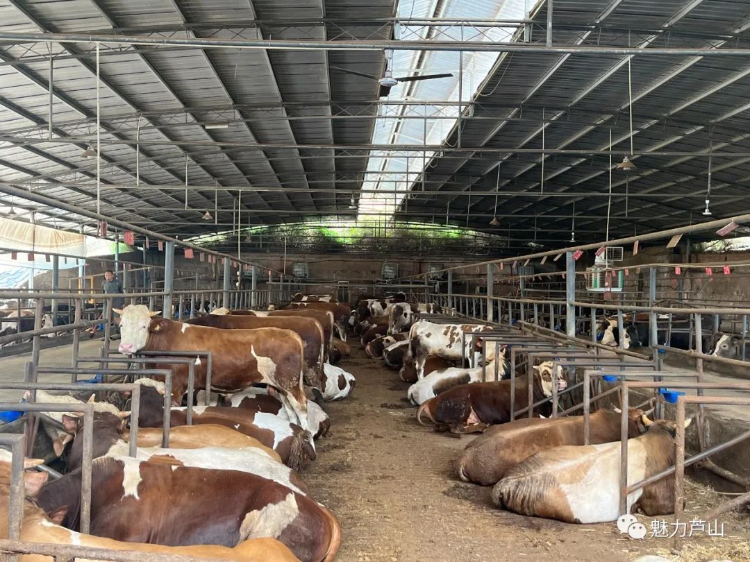 创业担保贷款助推企业复产,创业担保贷款助力乡村振兴