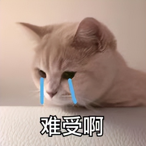 经期前综合症逍遥丸,经前期综合征吃什么逍遥丸